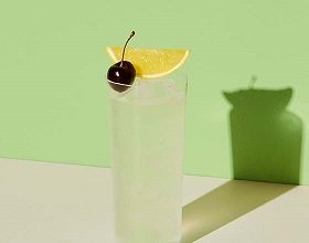  Tom Collins cocktail recipe