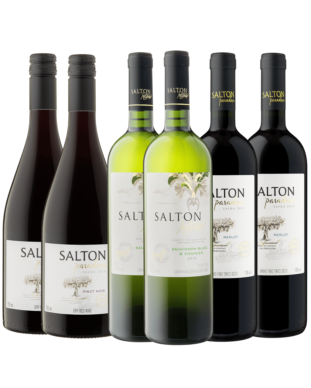Buy Salton Mixed Pack Online (Lowest Price Guarantee) Best Deals