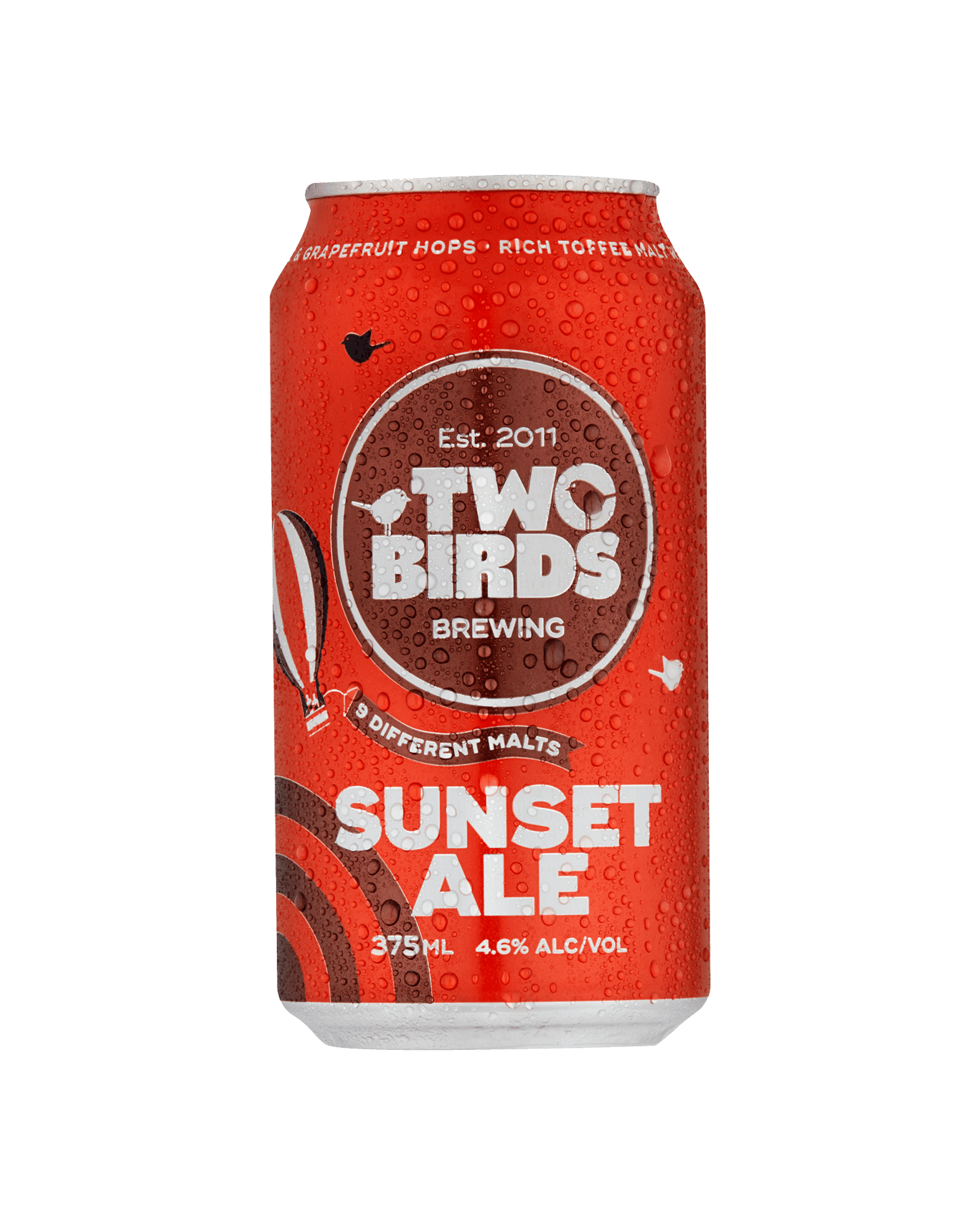 Buy Two Birds Brewing Sunset Ale 24x375ml Cans Online (Lowest Price Guarantee) Best Deals
