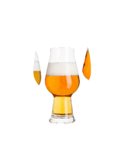  Luigi Bormioli Birrateque<br>Mixed Pack  260ML Luigi Bormioli is a world leader in the art of glassmaking. Founded in 1946 in Parma, Italy the company is committed to great design, traditional Italian craftsmanship and new-age glassmaking technology to create beautiful glassware of the highest quality.<br>The Birrateque range brings together unique tasting glasses for craft beer and cider