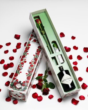 click to close product image