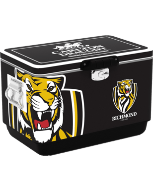 click to close product image