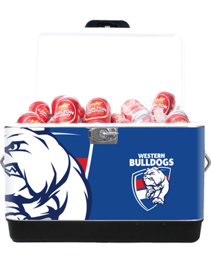 click to close product image