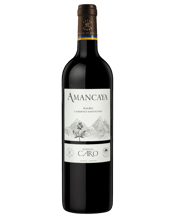 Bodegas Caro Amancaya 2020 750ML Deep red colour with intense ruby hues. Very fruity on the nose, with blackcurrant, strawberry, floral and minty notes coming through, followed by aromas of cassis, graphite and coffee bean. On the palate, the wine is balanced and pleasant, with texture and refined tannins. A fruity middle palate leads to an elegant and long aftertaste.