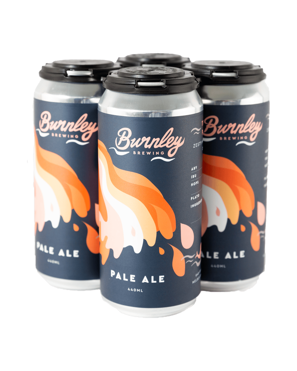 Buy Burnley Brewing Pale Ale Can 440ml Online (Lowest Price Guarantee) Best Deals + Sameday