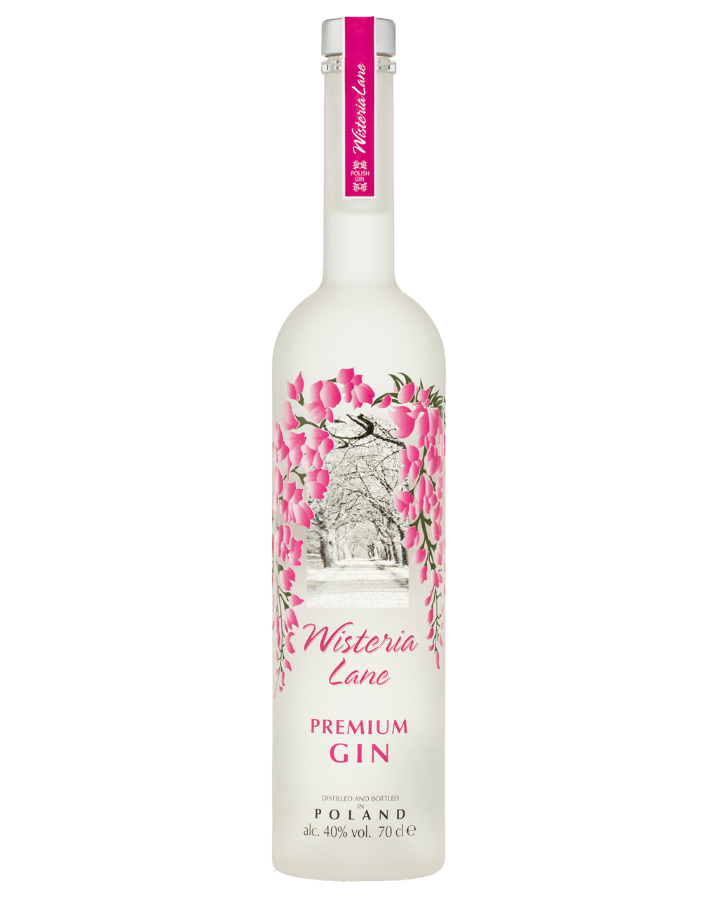 Wisteria Lane Premium Gin Case Boozy