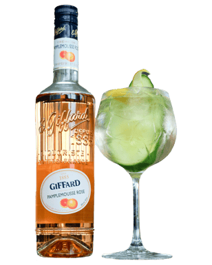 Giffard Creme de Pamplemousse Rose Liqueur – De Wine Spot