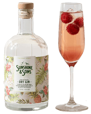 click to close product image