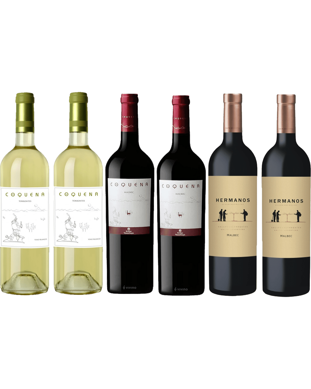 Argentinian Wine The Salta Edition - Boozy