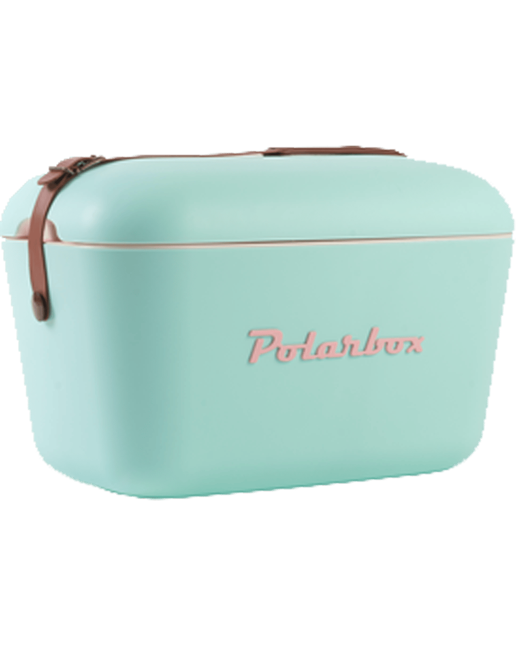 Buy Polarbox Classic Cyan Cooler Box 12l Online (Lowest Price Guarantee ...