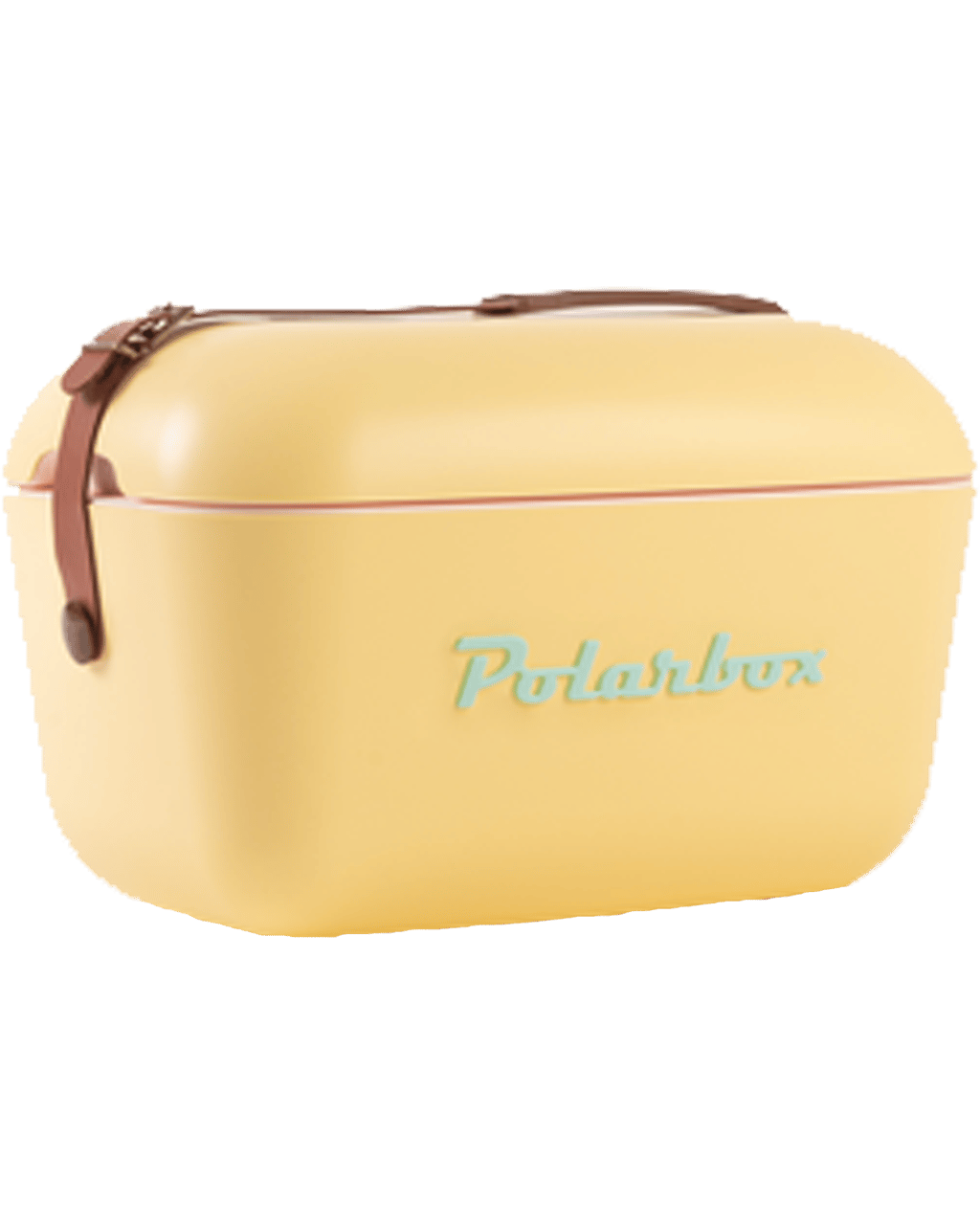 Buy Polarbox Classic Yellow Cooler Box 20l Online (Lowest Price ...