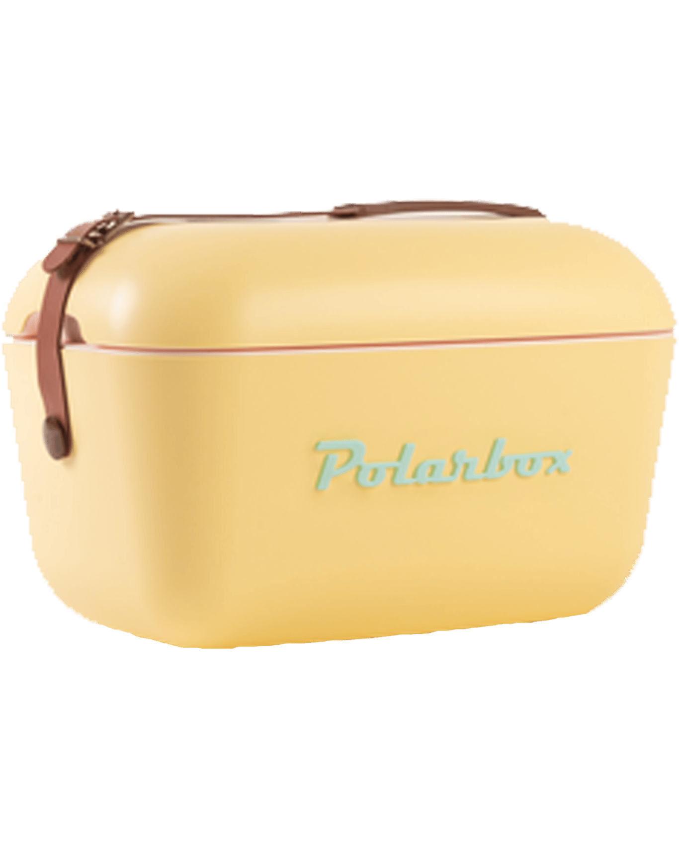 Buy Polarbox Classic Yellow Cooler Box 20l Online (Lowest Price