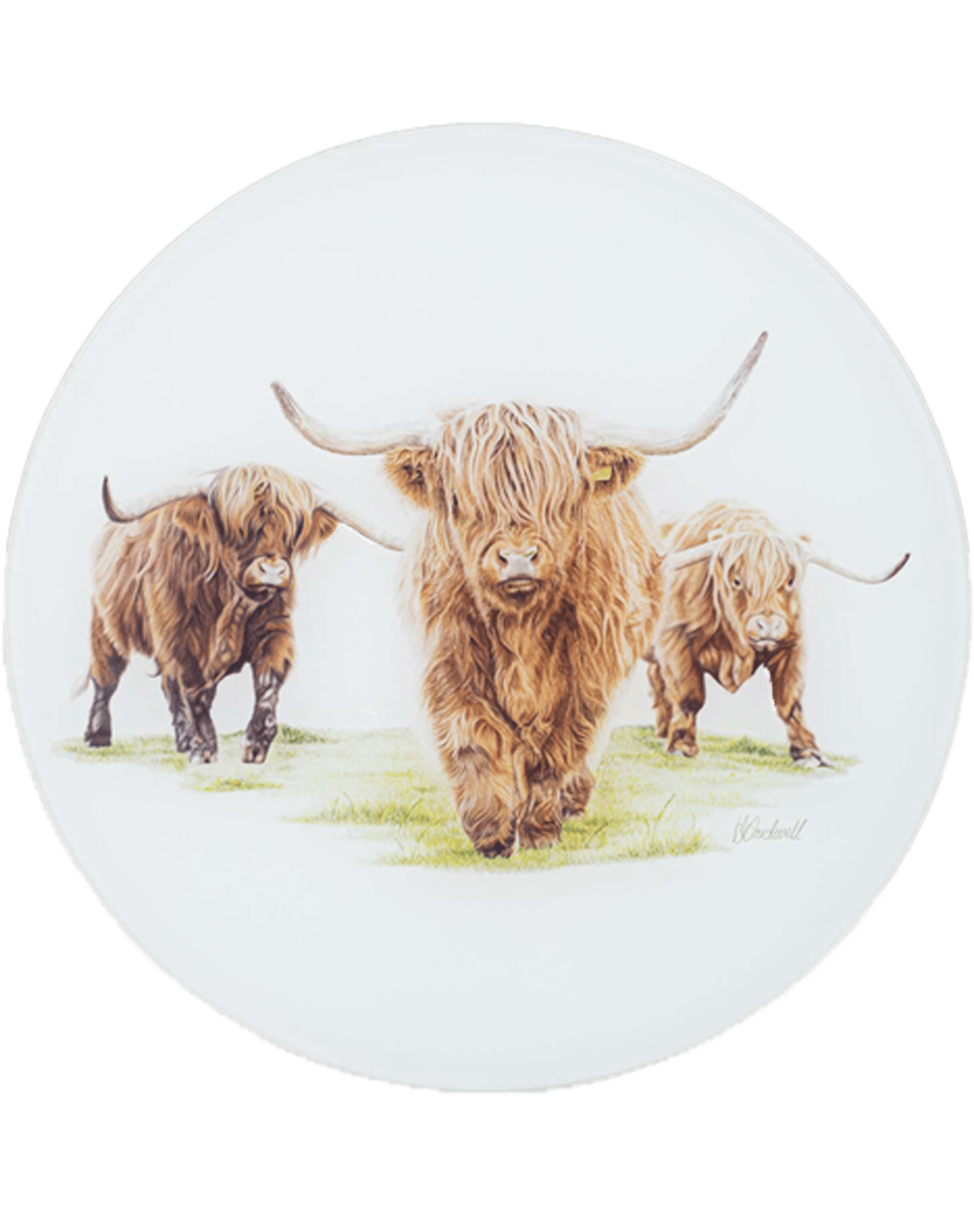 Buy Ashdene Glass 30cm Highland Herd Round Surface Protector Table/desk Placemat Online (Lowest