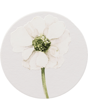 click to close product image