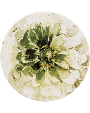 click to close product image