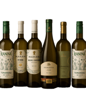 Georgian Wine White Wine<br>Mixed Case  750ML Discover the elegance of Georgian white wines with our White Wine Mixed Case, featuring six exceptional bottles that showcase Georgia's finest white varietals and winemaking traditions.<br>What's Included in this Mixed Case:<br>Shumi Tsinandali 2022 - Premium Georgian white wine<br>Marani Mtsvane 2023 - Indigenous grape from Kakheti<br>Dugladze Ranina Tsinandali 2023 - Classic Georgian white wine<br>Marani Rkatsiteli-Chardonnay 2022 - Georgian white wine blend fusion<br>Dugladze Krakhuna 2022 -