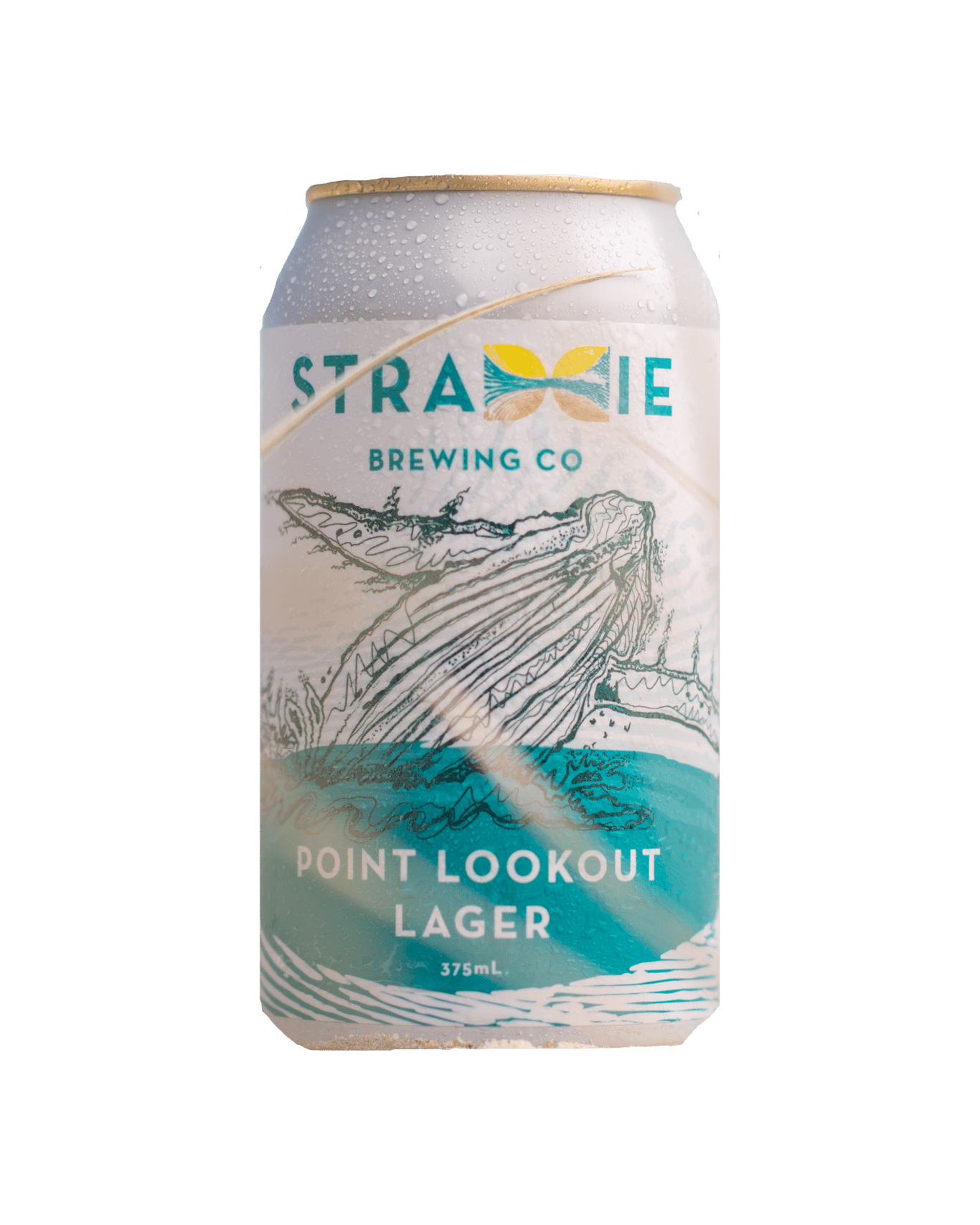 Buy Straddie Brewing Co Point Lookout Lager 375ml Online (Lowest Price