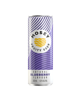 Blueberry Fruity Beer Cans 300mL