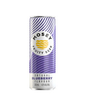 Blueberry Fruity Beer Cans 300mL