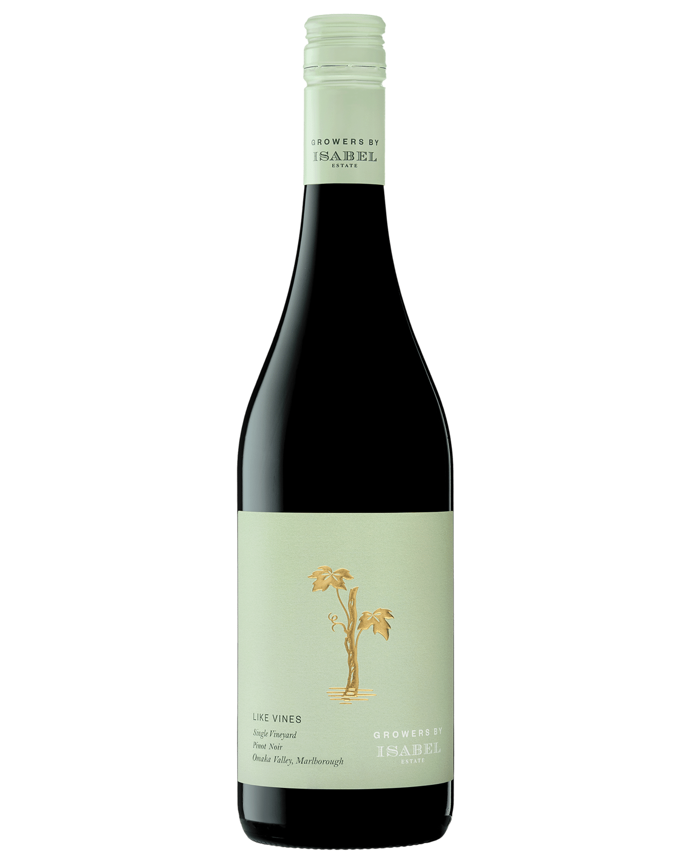 Buy Isabel Estate Grower Like Vines Pinot Noir Online (Lowest Price ...