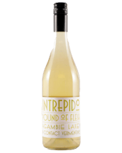  Vino Intrepido A Pound Of<br>Flesh Vermentino  750ML Fruit was harvested early on a morning in late March and transported to the winery. The grapes were transferred to open fermenters, plunging at least once per day for five days. After pressing the wine was pumped to a mixture of stainless-steel tank and mature barrels to complete fermentation, and once completed the majority of the wine was aged in barrels. After five months the wine was racked to tank, cold settled then bottled without fining or filtering.