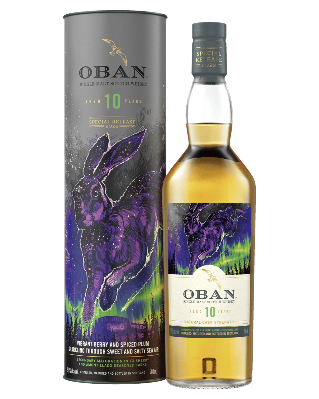 Buy Oban 10 Year Old Special Release Single Malt Scotch Whisky 700ml