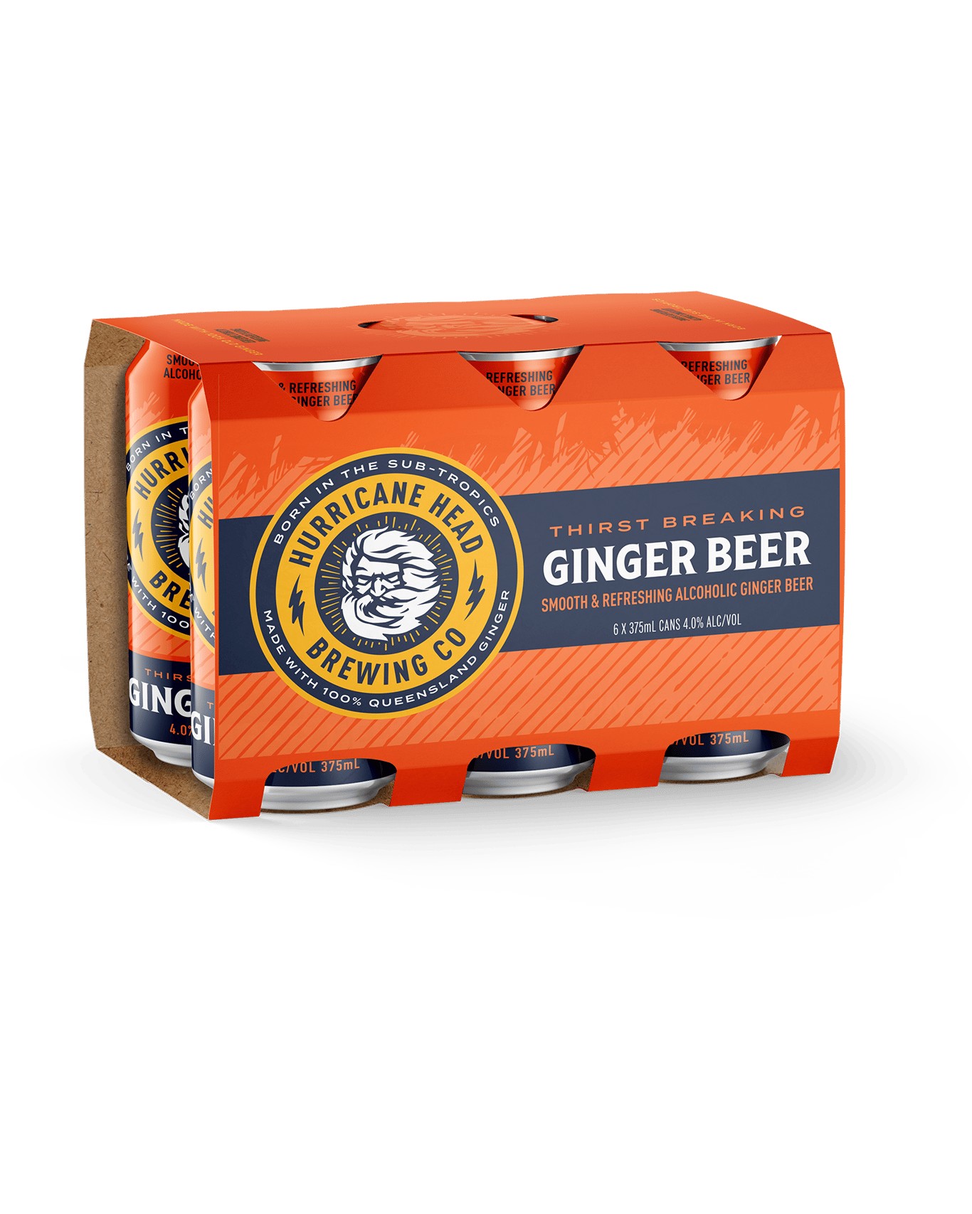 Buy Hurricane Head Ginger Cans 375ml Online (Lowest Price Guarantee