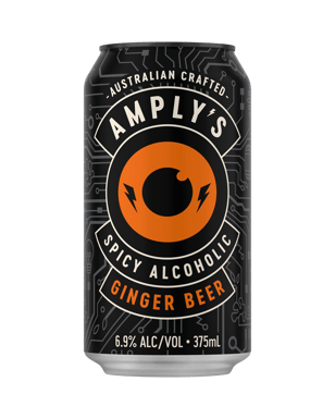 Buy Amplys Ginger Beer 6.9% 10pk Cans 375ml Online (Low Prices) from ...