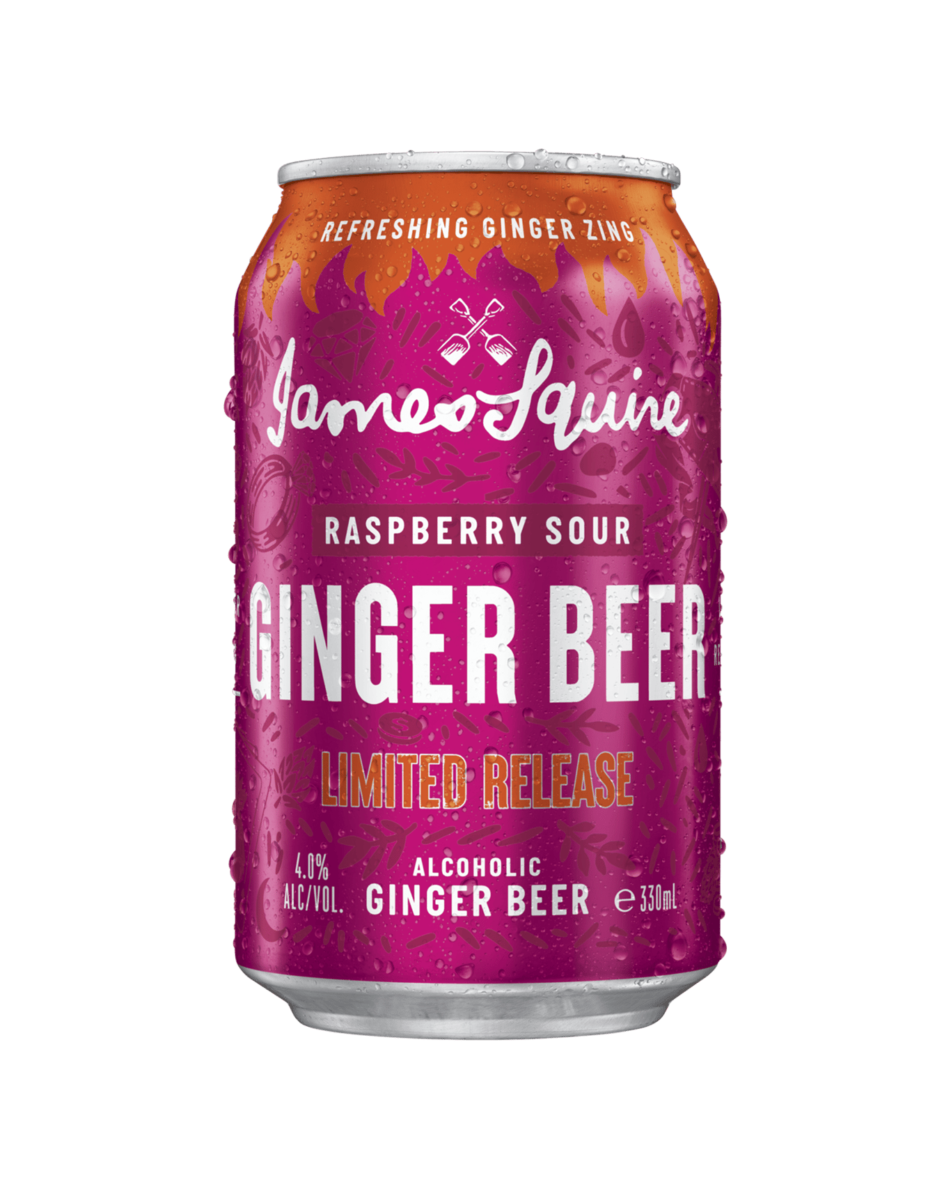 Buy James Squire Ginger Beer Raspberry Sour Cans 330ml Online (Low Prices) from Dan Murphy