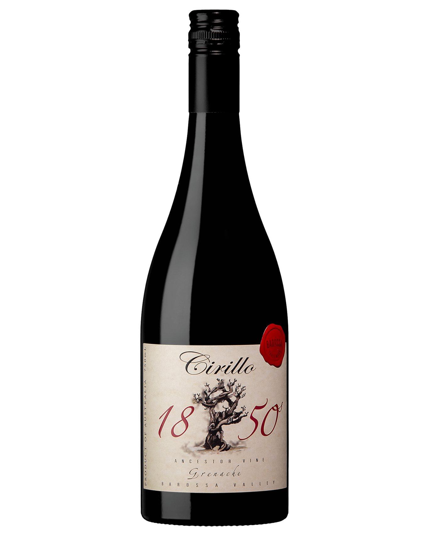 The Cirillo 1850 Ancestor Vine Grenache