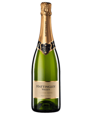 click to close product image