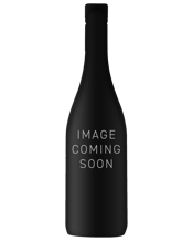  Vallformosa Mvsa Brut Nv  750ML Macabeo 35%, Xarel lo 30%, Parellada 35%. 24 months lees ageing, 9.5 gL residual sugar. Full flavoured with ripe custard apple, straw, and golden richness. Stylish, satisfying, and great value with a clean finish.