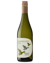  Domesticated Duck Mornington<br>Peninsula Pinot... 750ML Domesticated Duck Pinot Gris embodies our passion for crafting elegant wines from celebrated regions. The result is a charming and easy-drinking expression of place. It delivers vibrant aromas of nashi pear and Turkish delight, leading to bright stonefruit and crunchy red apple flavours. Beautifully glossy yet refreshing, this is a wine made for simple, effortless enjoyment. Wine and Beverages Owned IP: Produced by or on behalf of Pinnacle Drinks, part of Endeavour Group Limited.