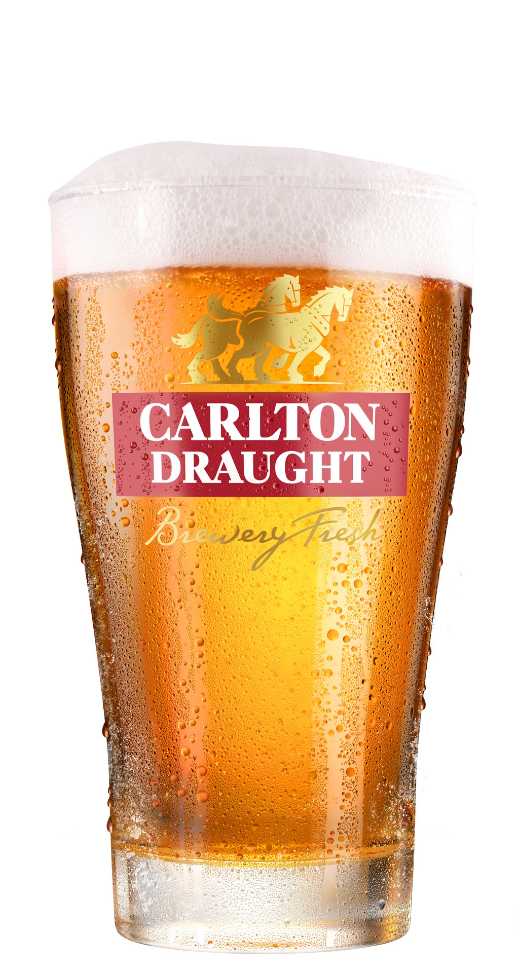 Buy Carlton Draught Bottles 375ml Online (Unbeatable Prices) From Dan ...