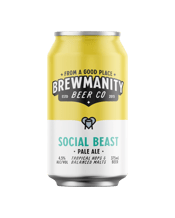 Pale Ale Can 375mL