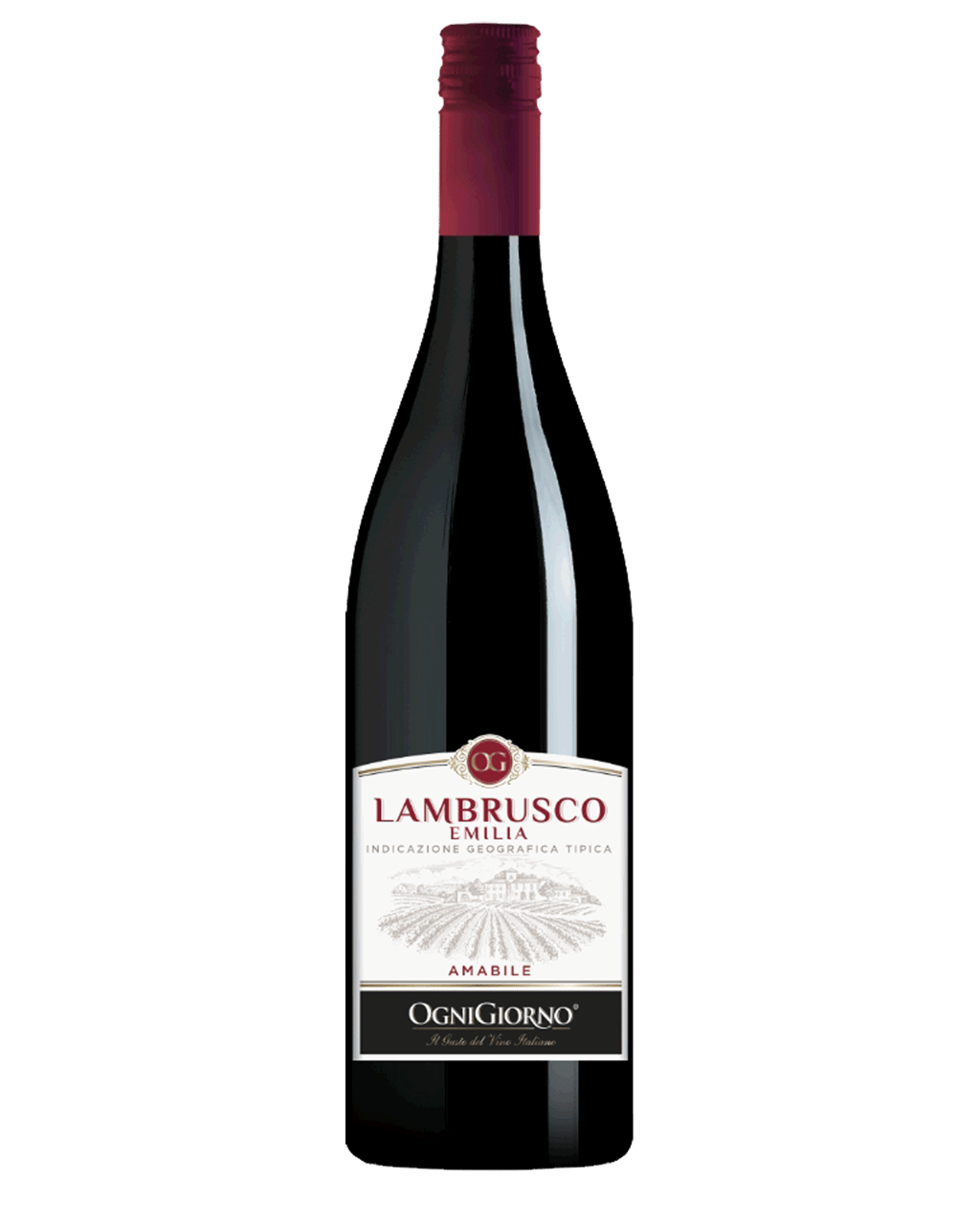 lambrusco red wine