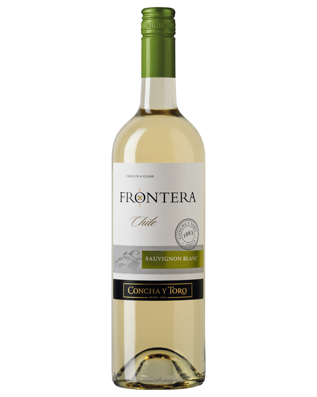 Buy Frontera Sauvignon Blanc Online (Lowest Price Guarantee) Best