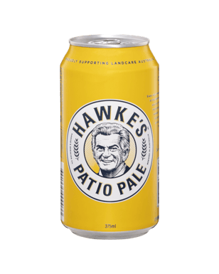 Buy Hawke's Brewing Co. Patio Pale Ale Can 375ml Online (Lowest Price ...