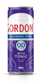 Gin and Tonic 0% Cans 250mL