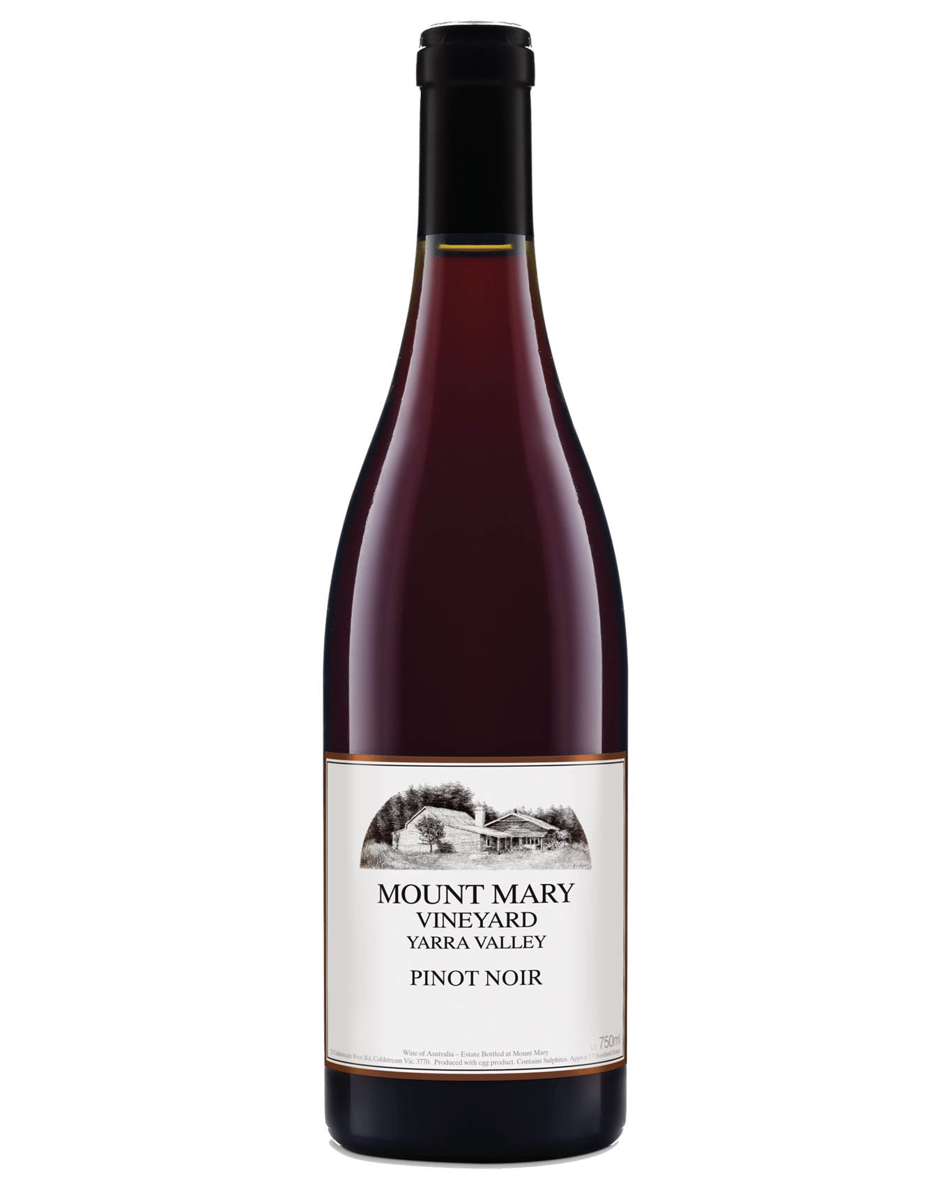 A bottle of Mount Mary Pinot Noir