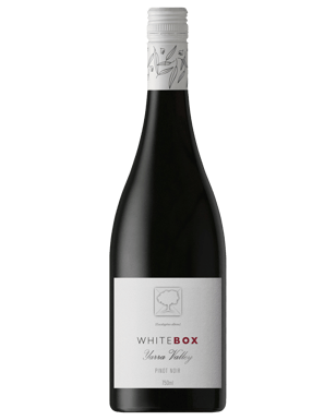 White box hot sale pinot noir