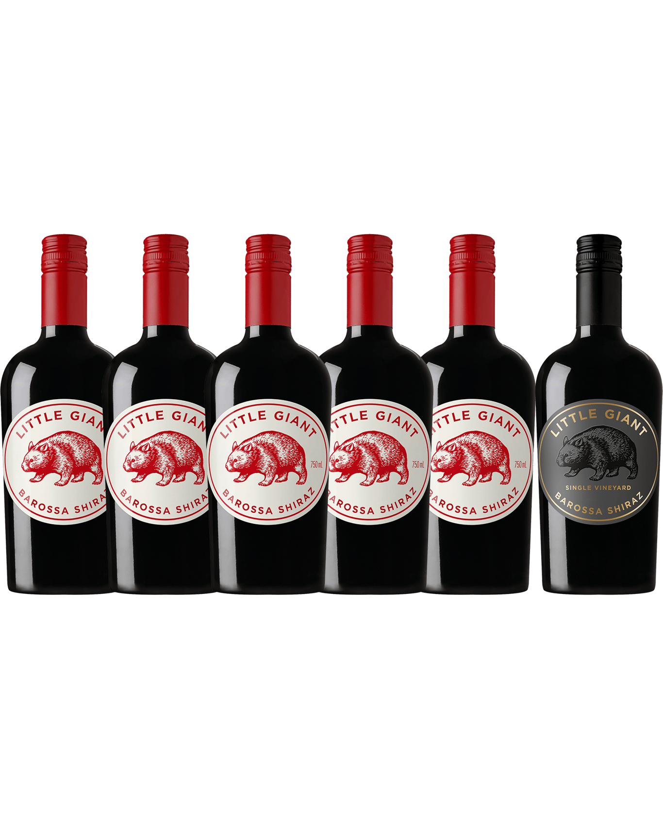 Buy Little Giant Shiraz Bundle Online (Lowest Price Guarantee) Best
