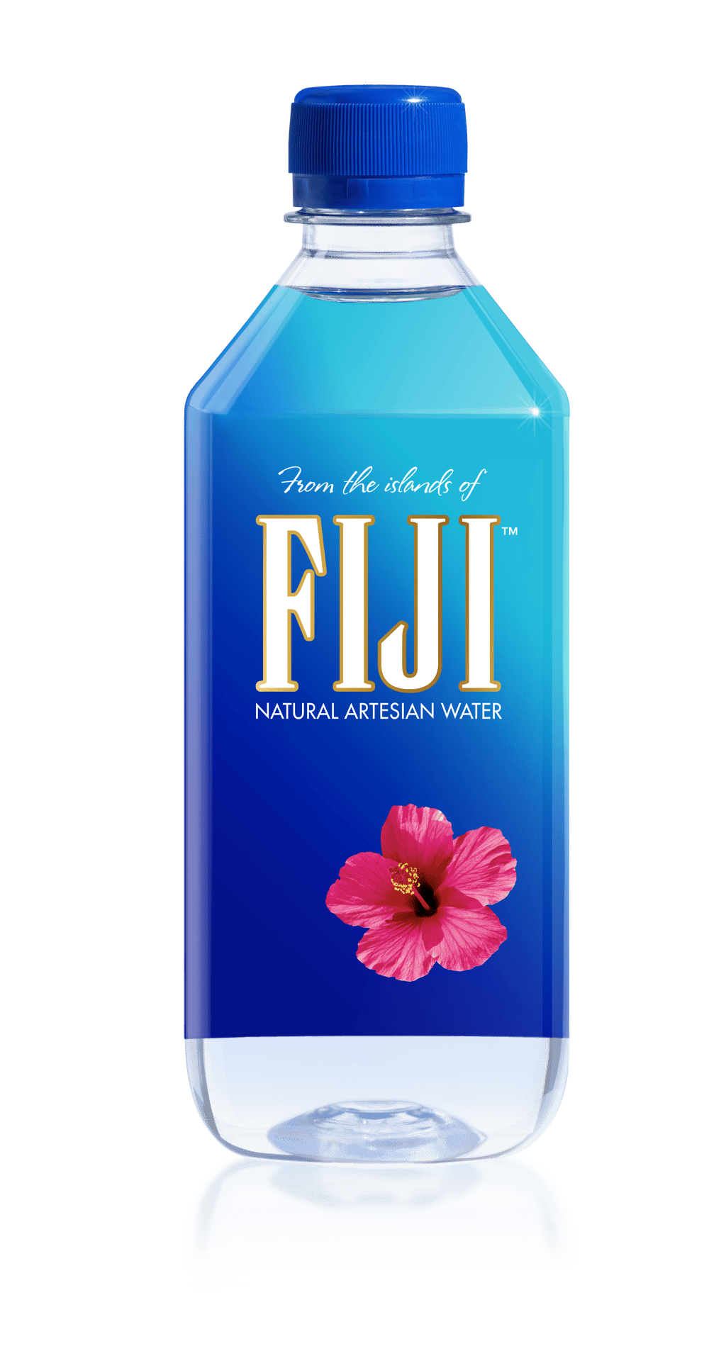 Fiji Water Natural Artesian Water 500ml (Unbeatable Prices) Buy Online