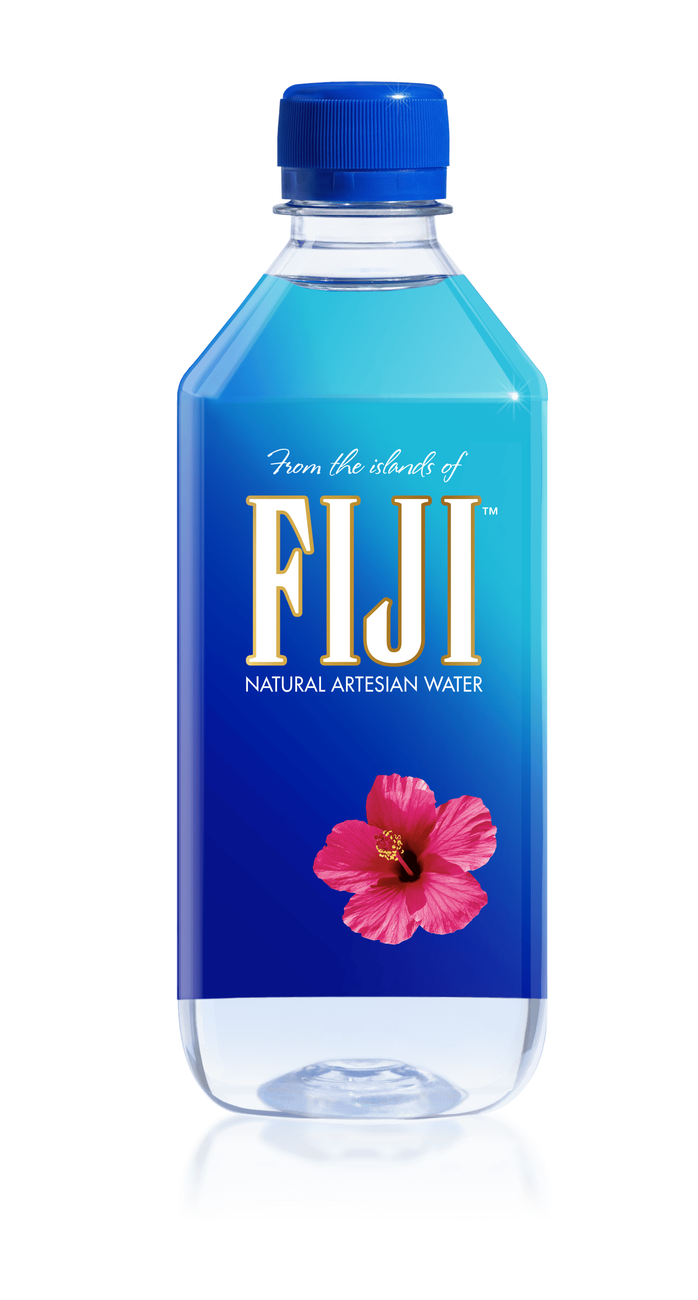 Buy Fiji Water Natural Artesian Water 500ml Online (Lowest Price